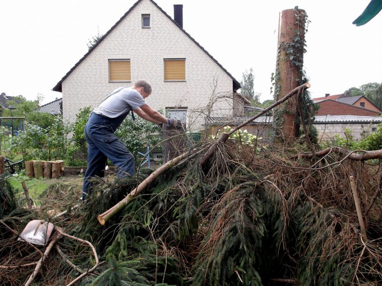 Der Gartenteich wird angelegt