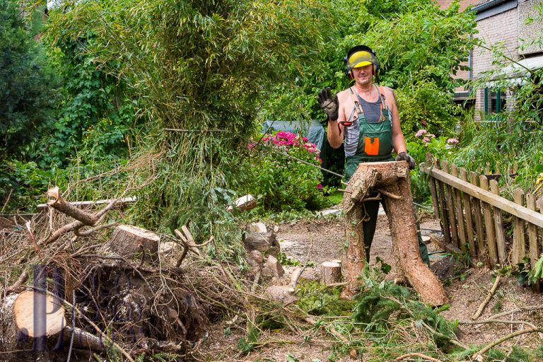 Ein Naturgarten soll entstehen!