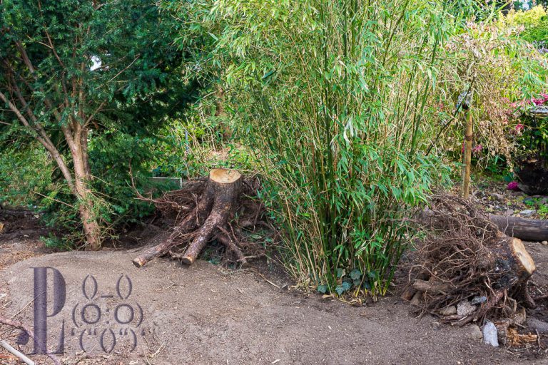 Erster Igelbau wird aufgebaut