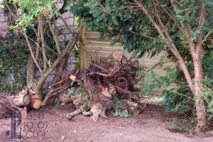 Ein zweites Igelhaus