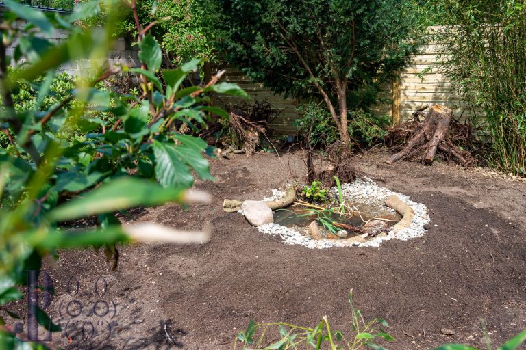 Ein kleiner Tümpel entsteht!