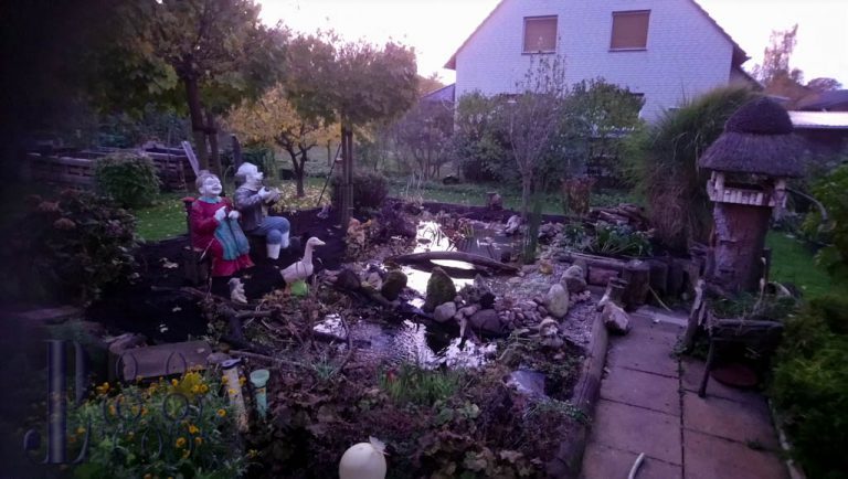 Teich im Naturgarten