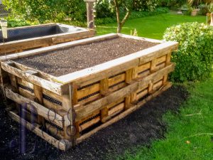 Start ins Gartenjahr 2020