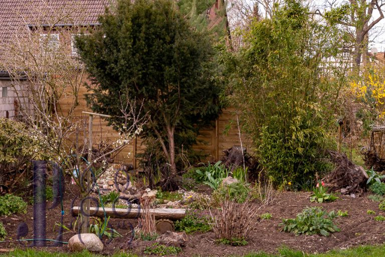 Der Naturgarten startet ins Gartenjahr 2020