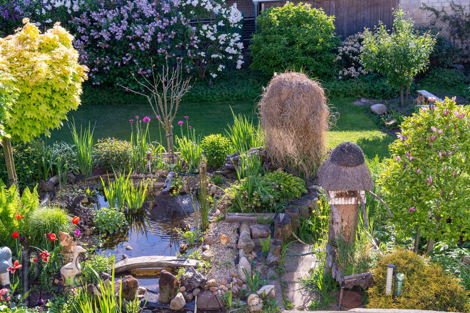 Mein Naturgarten am 15.Mai 2020 Lampes Garten