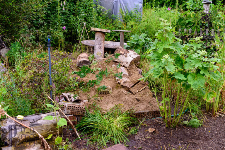 Ein Sandarium im Naturgarten