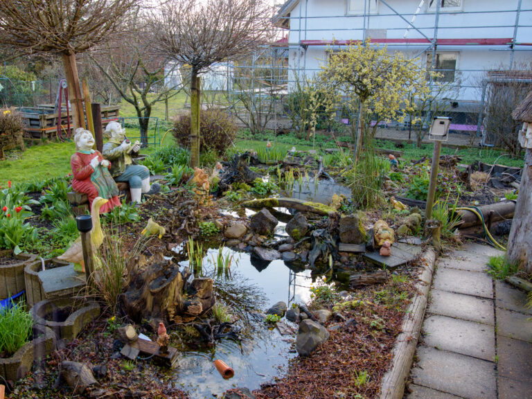 Start in das Gartenjahr 2023