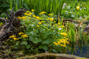 Ostersonntag 2024 …