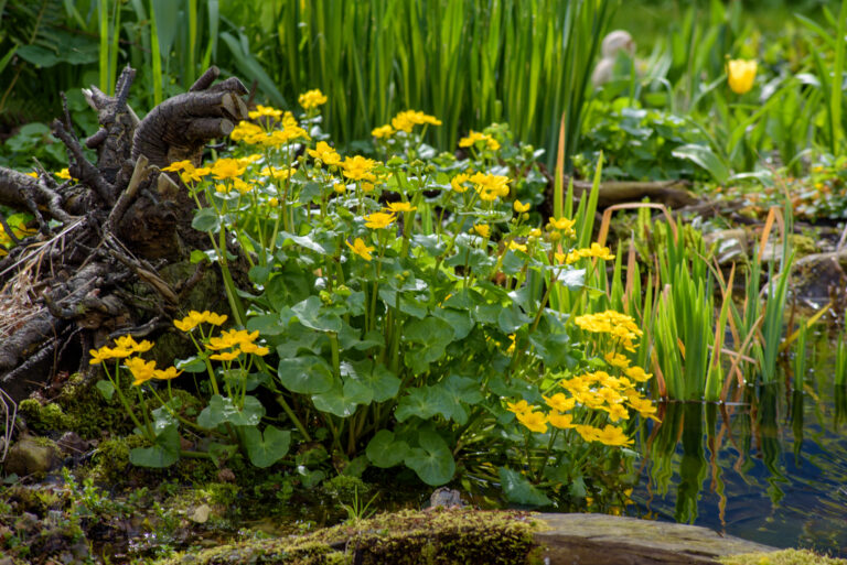 Ostersonntag 2024 …